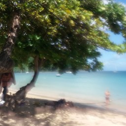 A few photos of where I am..